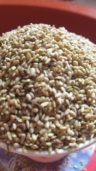 정용묵님의 두릅 · 품종•종자 작성글 사진