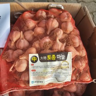 한농농약종묘사님의 작성글 사진