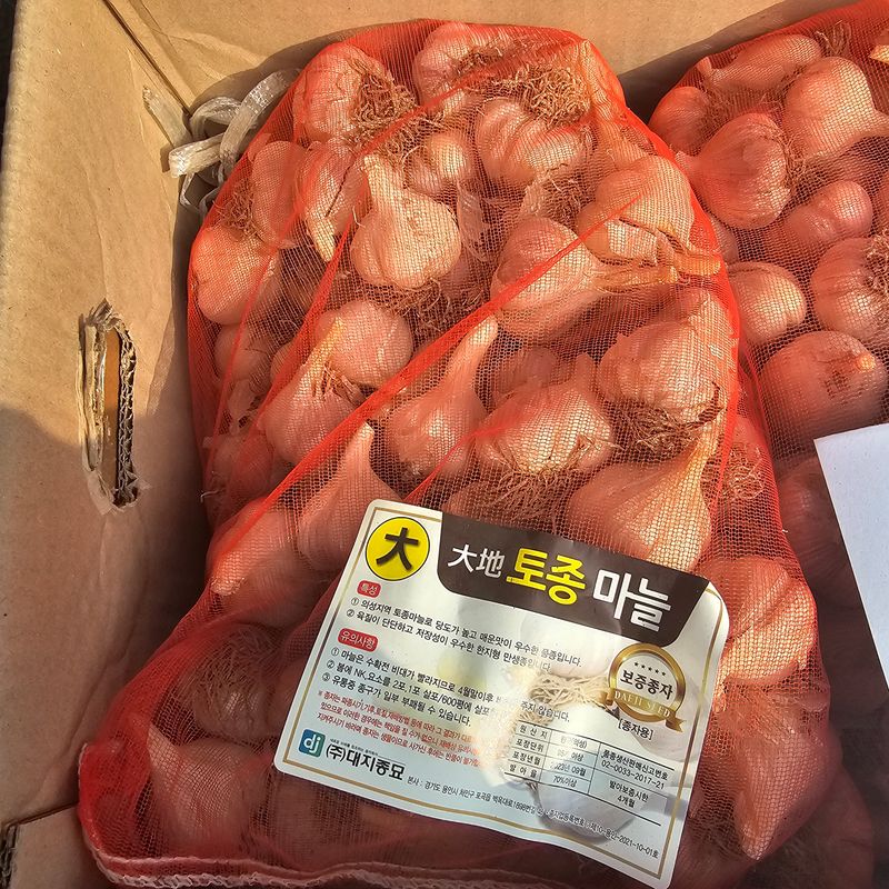 한농농약종묘사님의 장터 판매 상품 [씨마늘 의성마늘 보증종자 정품] 첨부 사진