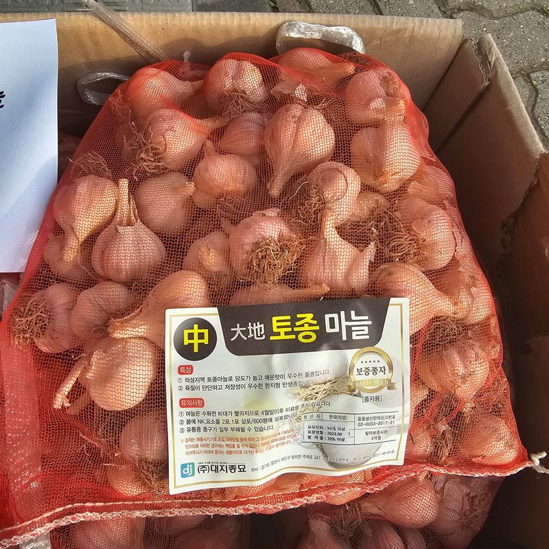 한농농약종묘사님의 장터 판매 상품 [씨마늘 의성마늘 보증종자 정품] 첨부 사진