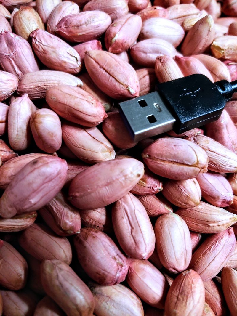 장터 상품 [땅콩] 썸네일