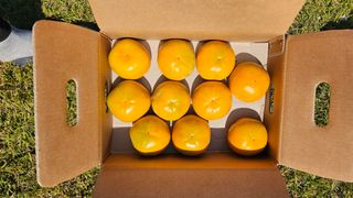 주하네팜(태추,부유님의 작성글 사진