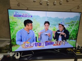 주하네팜(태추,부유님의 작성글 사진