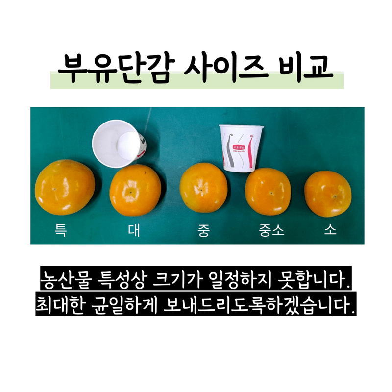 주하네팜(태추,부유님의 장터 판매 상품 [창원단감제 대상 아삭달콤한 부유단감5,5kg] 첨부 사진