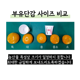 주하네팜(태추,부유님의 작성글 사진