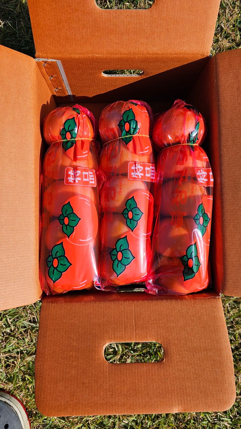 주하네팜(태추,부유님의 장터 판매 상품 [창원단감제 대상 아삭달콤한 부유단감5,5kg] 첨부 사진