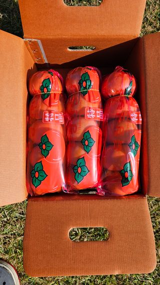 주하네팜(태추,부유님의 작성글 사진