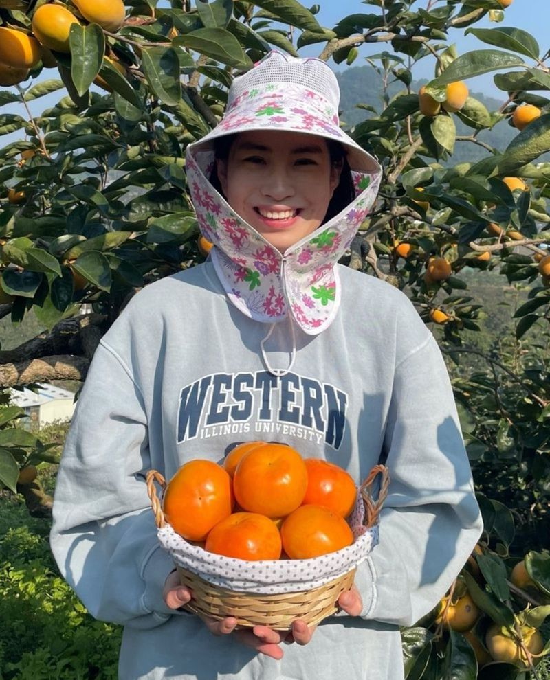 장터 상품 [창원단감제 대상 아삭달콤한 부유단감5,5kg] 썸네일