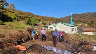 최영숙님의 11월 내 작물 자랑하기 · 참여글 작성글 사진