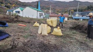 최영숙님의 11월 내 작물 자랑하기 · 참여글 작성글 사진