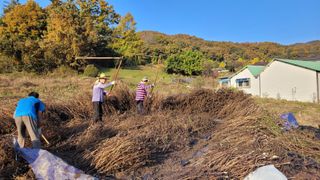 최영숙님의 11월 내 작물 자랑하기 · 참여글 작성글 사진