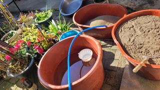 최영숙님의 11월 내 작물 자랑하기 · 참여글 작성글 사진