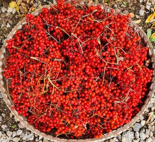 모든 보일러 설비님의 작성글 사진