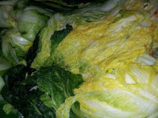 헤라네(김정현)님의 자유주제 · 자유게시판 작성글 사진