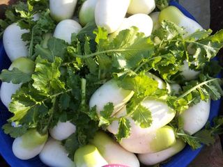 헤라네(김정현)님의 자유주제 · 자유게시판 작성글 사진