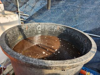 권오율님의 포도 · 영농일지 작성글 사진