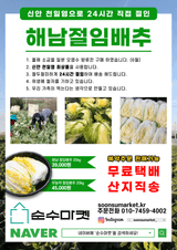 팜모닝 · 게시글 이미지