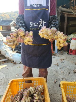 이대주님의 작성글 사진