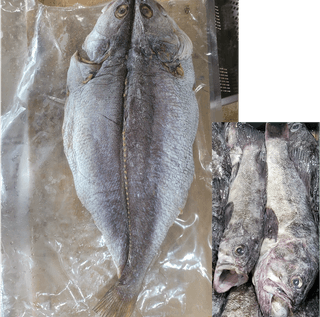 김진국님의 장터 · 수산물 작성글 사진