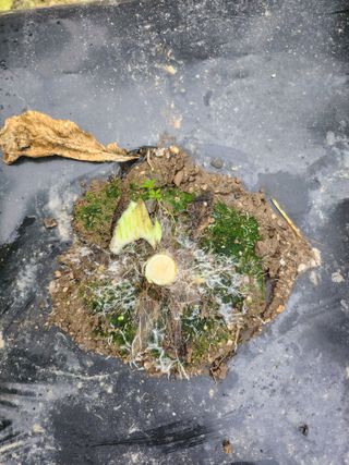 손정아님의 자유주제 · 자유게시판 작성글 사진