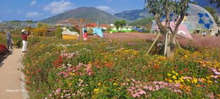 사천시향촌동 돼지띠님의 자유주제 · 자유게시판 작성글 사진