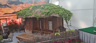 사천시향촌동 돼지띠님의 자유주제 · 자유게시판 작성글 사진