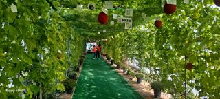 사천시향촌동 돼지띠님의 자유주제 · 자유게시판 작성글 사진