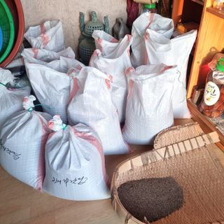 밝은숲님의 들깨 · 자유게시판 작성글 사진