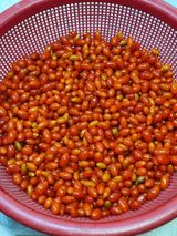 팜모닝 11월 내 작물 자랑하기·참여글 게시글 이미지