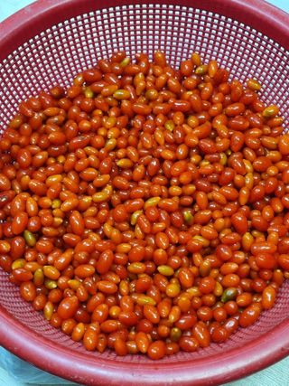 호미대장님의 11월 내 작물 자랑하기 · 참여글 작성글 사진