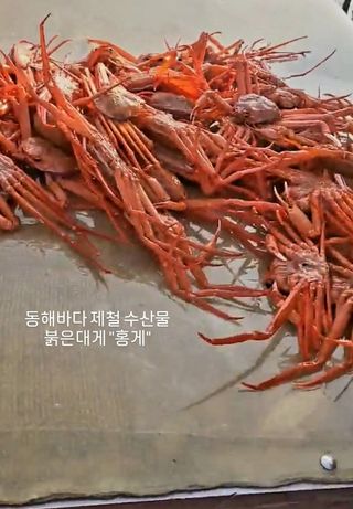 노가네수산님의 우리동네 · 동네정보 작성글 사진