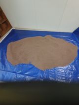 팜모닝 들깨·자유게시판 게시글 이미지