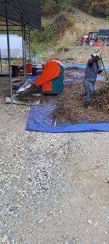 팜모닝 들깨·영농일지 게시글 이미지