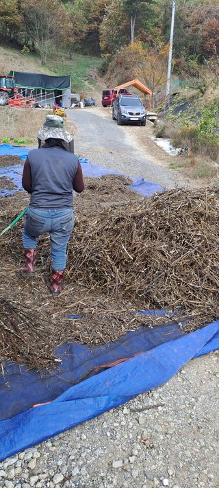 용호님의 들깨 · 영농일지 작성글 사진