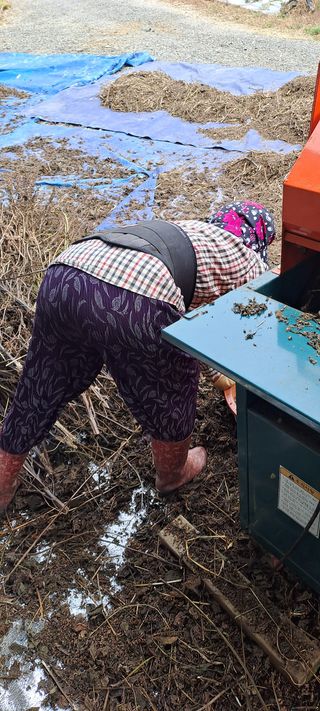 용호님의 들깨 · 영농일지 작성글 사진