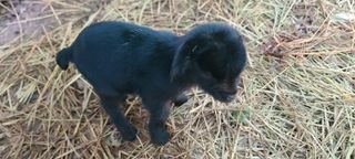 시현님의 자유주제 · 자유게시판 작성글 사진