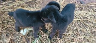 시현님의 자유주제 · 자유게시판 작성글 사진