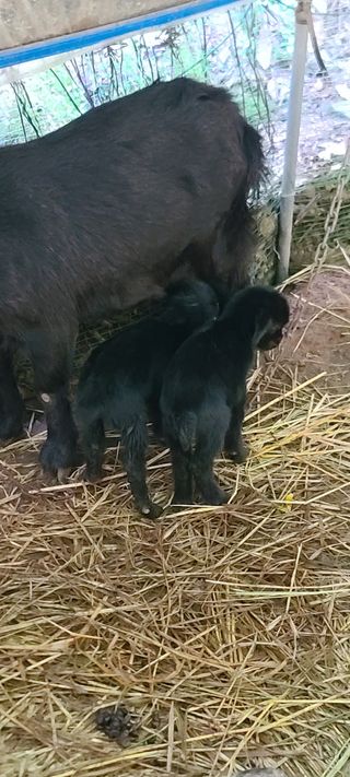 시현님의 자유주제 · 자유게시판 작성글 사진