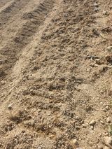 팜모닝 토마토·영농일지 게시글 이미지