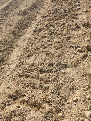 도깨비윤샘 님의 토마토 · 영농일지 작성글 사진