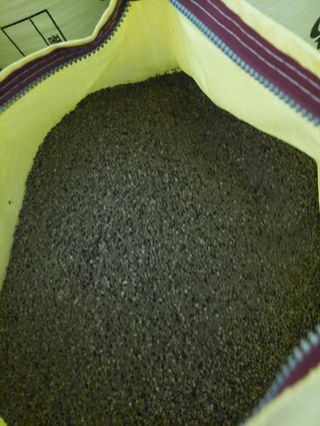 김광영님의 11월 내 작물 자랑하기 · 참여글 작성글 사진