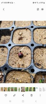 팜모닝 11월 내 작물 자랑하기·참여글 게시글 이미지