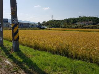 들깨22101님의 11월 내 작물 자랑하기 · 참여글 작성글 사진