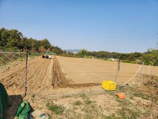 장재갑님의 마늘 · 영농일지 작성글 사진