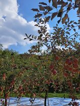 팜모닝 11월 내 작물 자랑하기·참여글 게시글 이미지