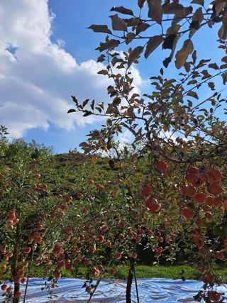 미화님의 11월 내 작물 자랑하기 · 참여글 작성글 사진