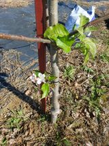 팜모닝 11월 내 작물 자랑하기·참여글 게시글 이미지