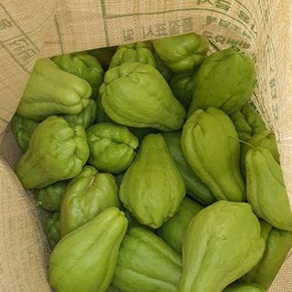 정태권님의 11월 내 작물 자랑하기 · 참여글 작성글 사진