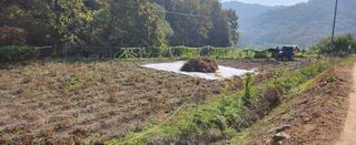 콩12024님의 콩 · 자유게시판 작성글 사진