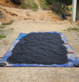 콩12024님의 콩 · 자유게시판 작성글 사진